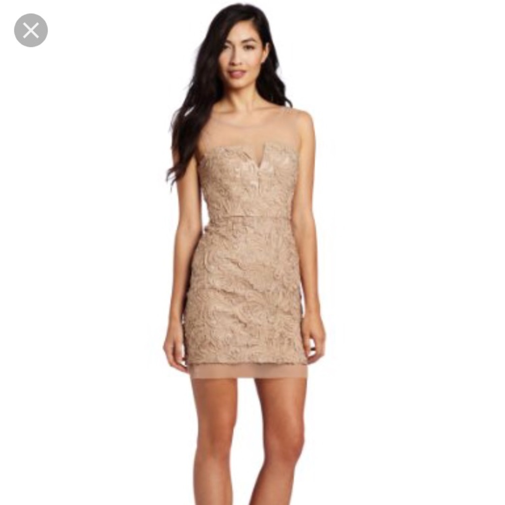 Holiday party: BCBG Embroidered Cocktail Dress